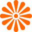 オレンジ色の菊