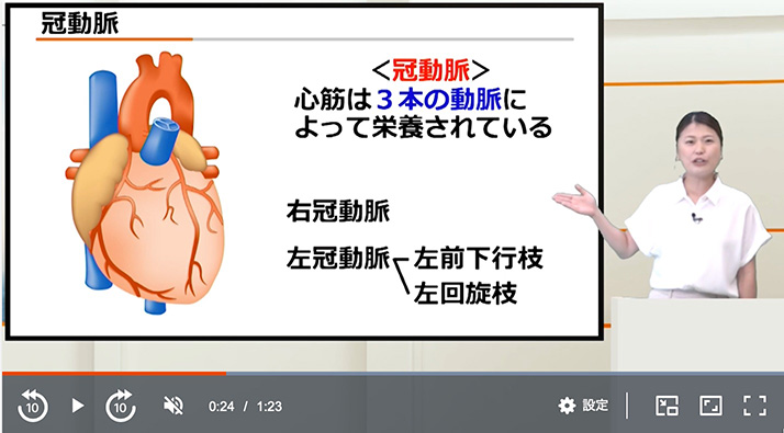 スタディング看護師国家試験講座 心臓血管疾患 冠動脈の説明スライド