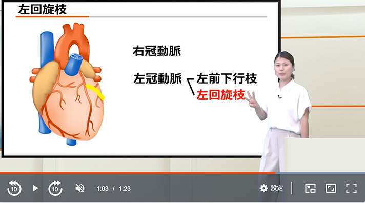 スタディング看護師国家試験講座 心臓血管疾患 左冠動脈の左回旋枝の解説